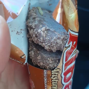 Ülker Albeni'de Şok Edici Kurt Sorunu