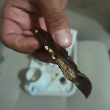 Küflü Çikolata Krizi: Nestle Damak Gece Tehlikesi