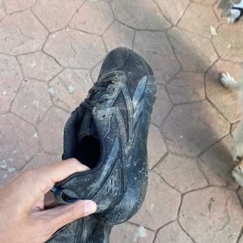 Kargom Bahçeye Atıldı Ve Köpek Tarafından Parçalandı