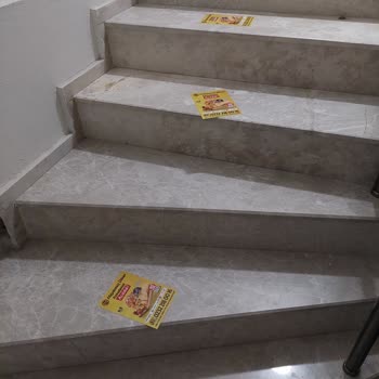 Çevre Kirliliği Yaratan Reklam Faaliyeti