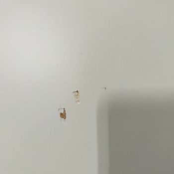 Gardırop Teslimatı Ve Hasarlı Ürün Sorunu