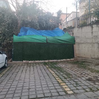 Site Yönetiminin Kedi Barınağı Kararı Hakkında Şikayet