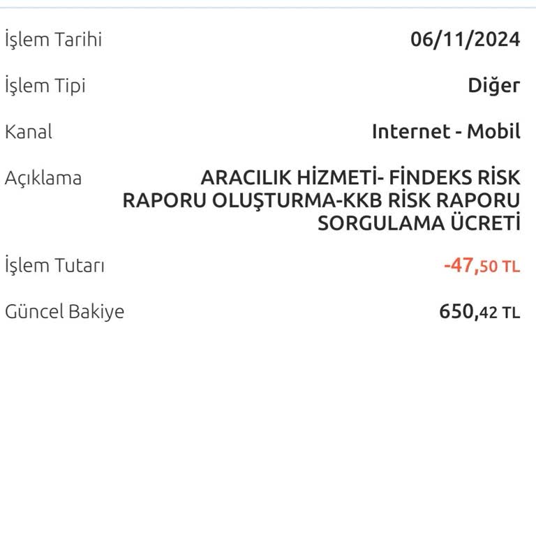 Findeks Raporu Beklerken Yaşanan Sorunlar