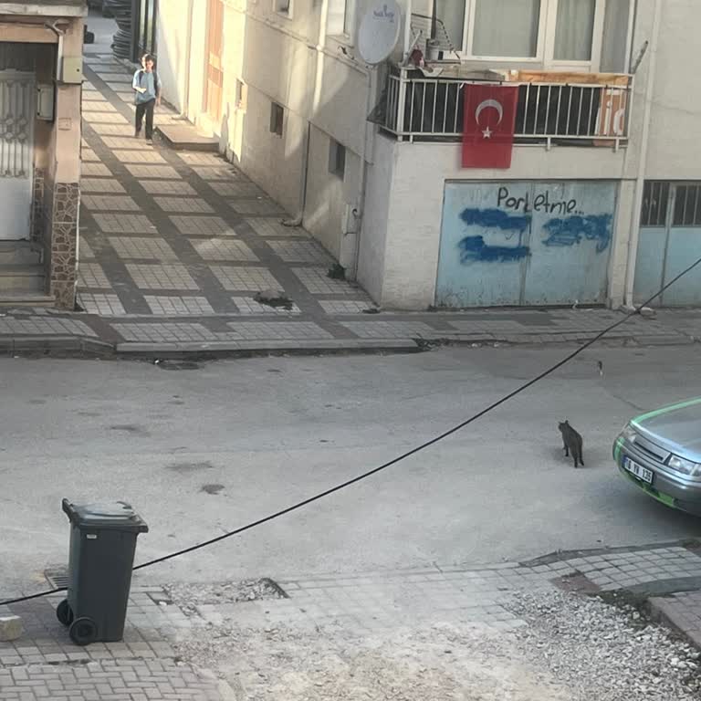 Mahallemizdeki Telefon Hatları İçin Acil Müdahale Bekliyoruz