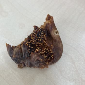 Kooperatiften Gelen Hayal Kırıklığı: Bozuk İncir Ve Geciken İade