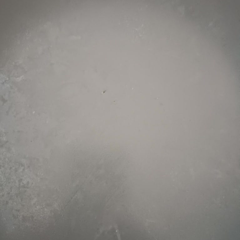 Güvenilir Marka Hayal Kırıklığı: Oflama Ürün Sorunu