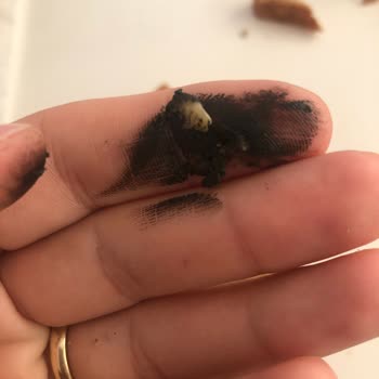 Uno Ekmek Ekmeğin İçinden Çıkan Şaşırtıcı Madde