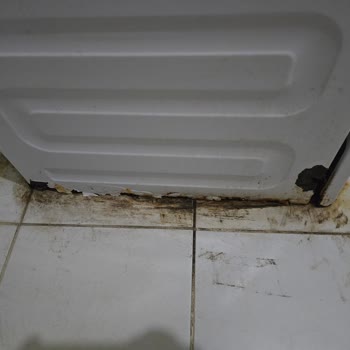 Grundig Çamaşır Makinesi Paslanma Sorunu Ve Yetersiz Servis