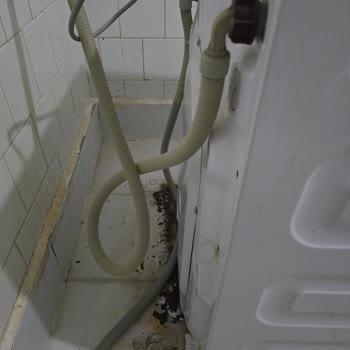 Grundig Çamaşır Makinesi Paslanma Sorunu Ve Yetersiz Servis