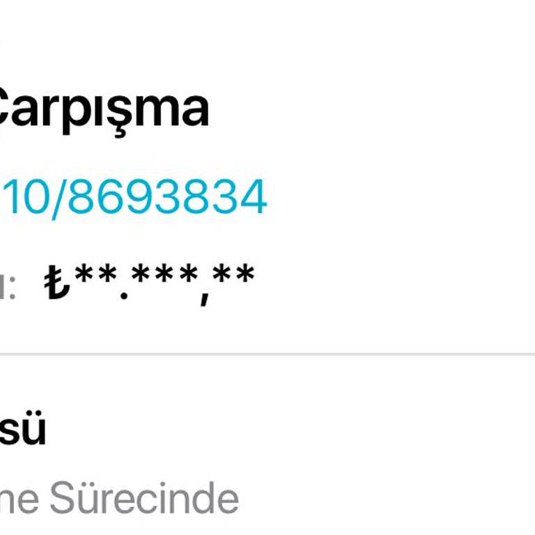 Türkiye Sigorta'nın Yavaş İşleyişi Mağdur Ediyor