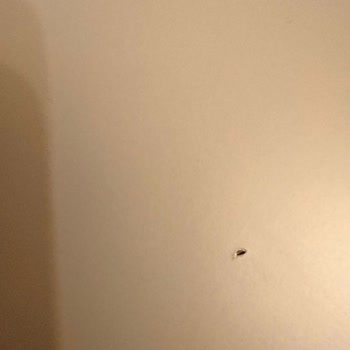 Evmoda'dan Alınan Defolu Ürün Ve Uzayan Değişim Süreci