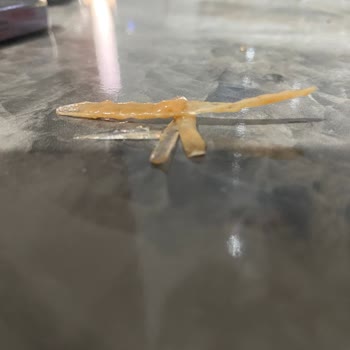 Tarım Kredi Spagetti Makarna İçinde Plastik Parçalar Skandalı