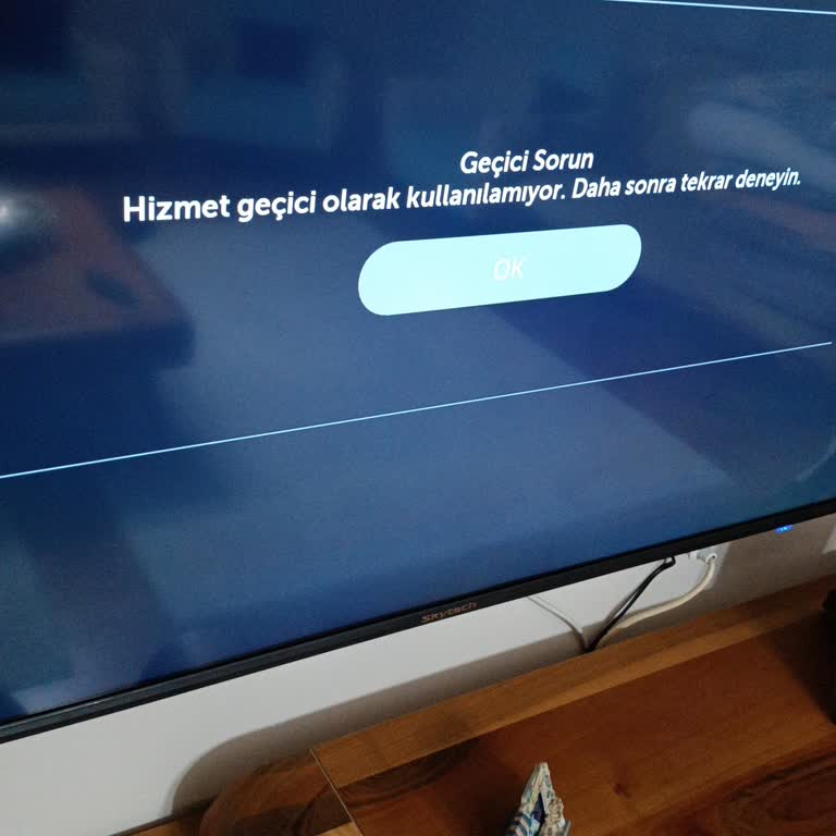 Skytech TV'nin Akıllı Olmayan Özellikleri Ve Ulaşılmaz Müşteri Hizmeti