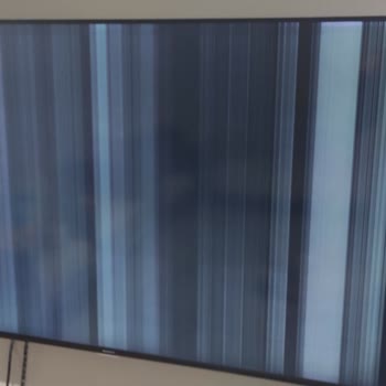 Sunny TV'nin Panel Arızası Ve Servis Sorunu