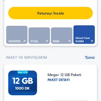 Taahhüt Bilgilendirme Eksikliği Ve Yüksek Fatura Sorunu