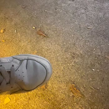 Adidas Ayakkabımda Oluşan Hasar Ve Mağaza Güvenilirliği Endişesi