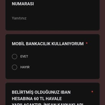 Kişisel Verilerin Güvenliği Konusunda Endişe