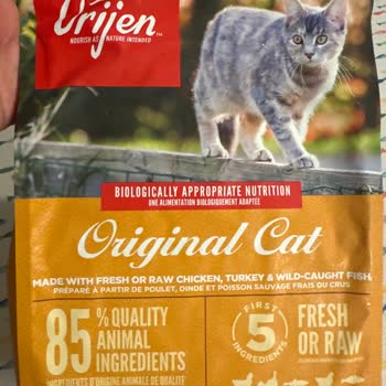 Son Kullanma Tarihi Yaklaşan Kedi Maması Ve İade Sorunu