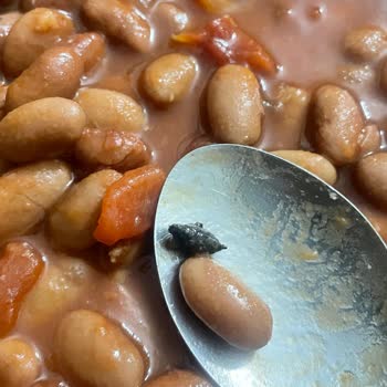 BİM'den Aldığım Barbunya Pilaki İçinde Böcek Şoku!