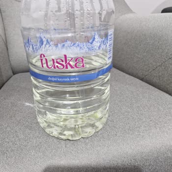 Yeşil Renk Alan Su Ve Yosunlanma Sorunu