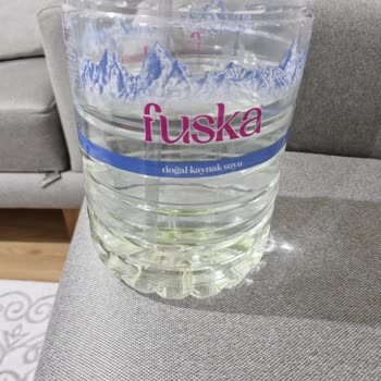 Yeşil Renk Alan Su Ve Yosunlanma Sorunu