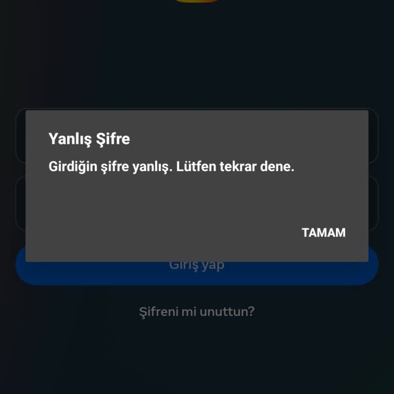 Instagram Hesabına Giriş Sorunu: Şifre Doğru Ama Erişim Yok