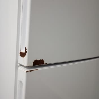 Samsung Buzdolabı Çürüme Sorunu