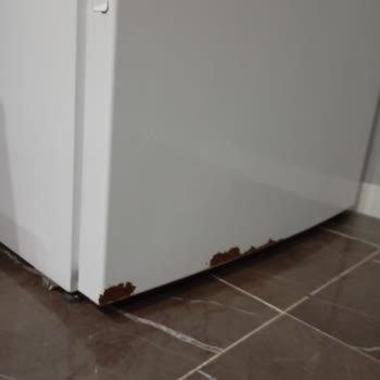 Samsung Buzdolabı Çürüme Sorunu