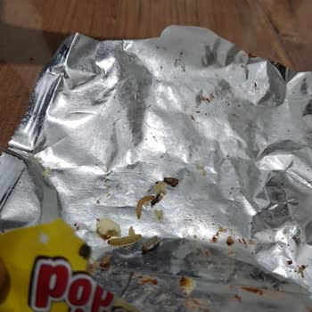 Eti Popkek'te Beklenmedik Misafirler