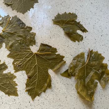 Instagram'da Yanıltıcı Ürün Ve Kötü Müşteri Hizmeti Deneyimi