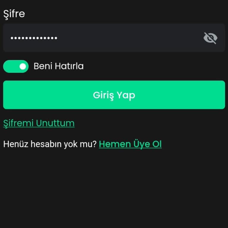 Bitay Hesabım Tanınmıyor: Destek Ekibinden Yanıt Bekliyorum