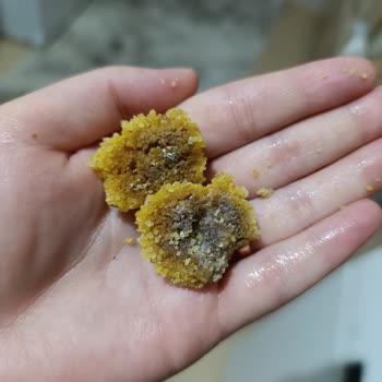 Küflü Bulgur Şoku