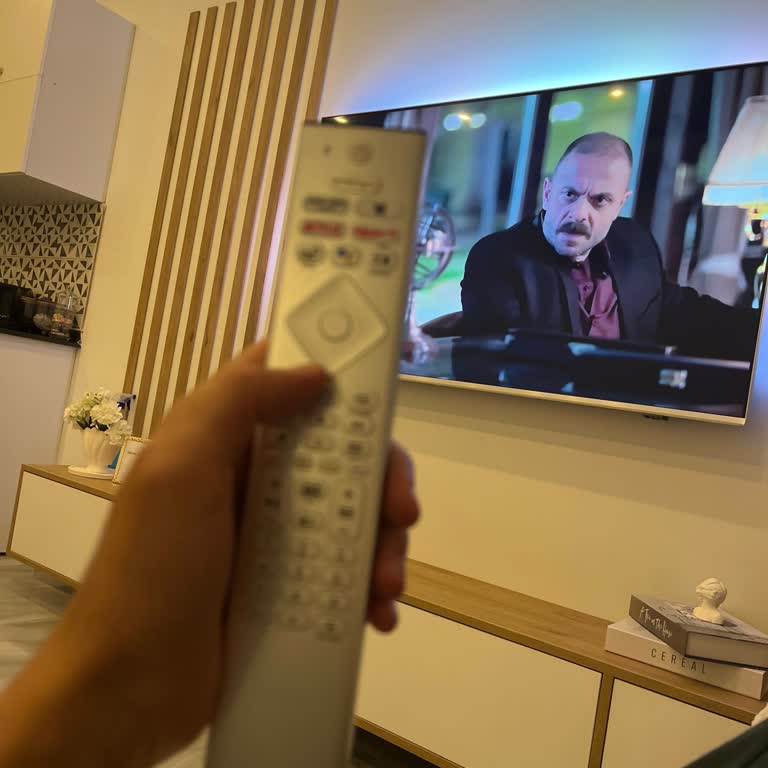 Philips TV 3 Aylık Cihazda Sürekli Kumanda Sorunu!