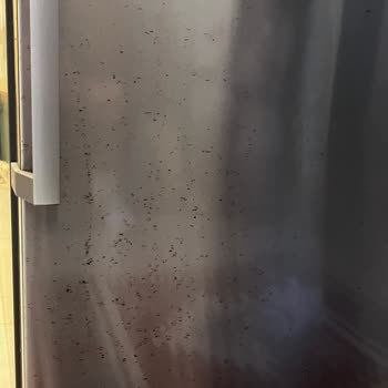 Bosch Buzdolabı Paslanma Sorunu: Kalıcı Çözüm Talebi