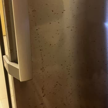 Bosch Buzdolabı Paslanma Sorunu: Kalıcı Çözüm Talebi