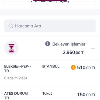 Metropol Bahis Sitesinde Para Yatırma Sorunu