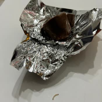 Migros'tan Alınan Çikolata Kurtlu Ve Böcekli Çıktı