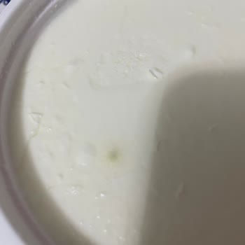 Küflü Yoğurt Mağduriyeti: BİM'den Aldığım Ürün Tüketilemez Durumda