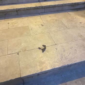 Üsküdar Belediyesi'nin İhmali: Temizlik Sorunu!