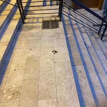 Üsküdar Belediyesi'nin İhmali: Temizlik Sorunu!