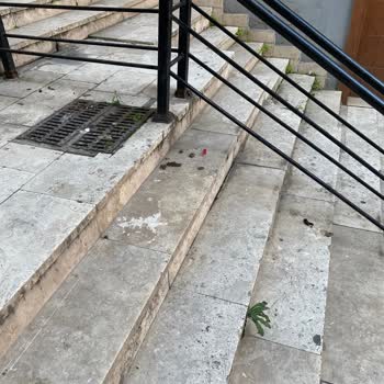 Üsküdar Belediyesi'nin İhmali: Temizlik Sorunu!