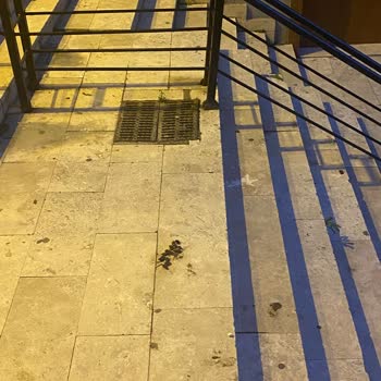 Üsküdar Belediyesi'nin İhmali: Temizlik Sorunu!