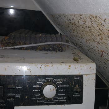 AFAD Yardımının Gecikmesi Ve Mağduriyet