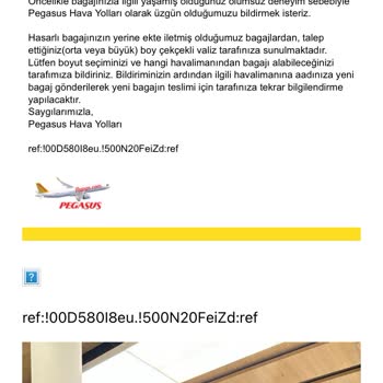 Uzun Rötarlar Ve Hasarlı Bagaj Sorunu