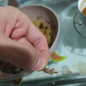 Yemekte Tel Şoku Ve İletişim Sorunu