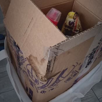 Gratis Online Alışverişte Hayal Kırıklığı