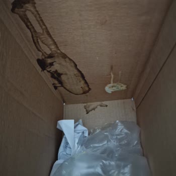 Gratis Online Alışverişte Hayal Kırıklığı