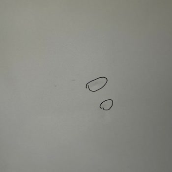 Arçelik Servisi Ve Derin Dondurucu Hayal Kırıklığı