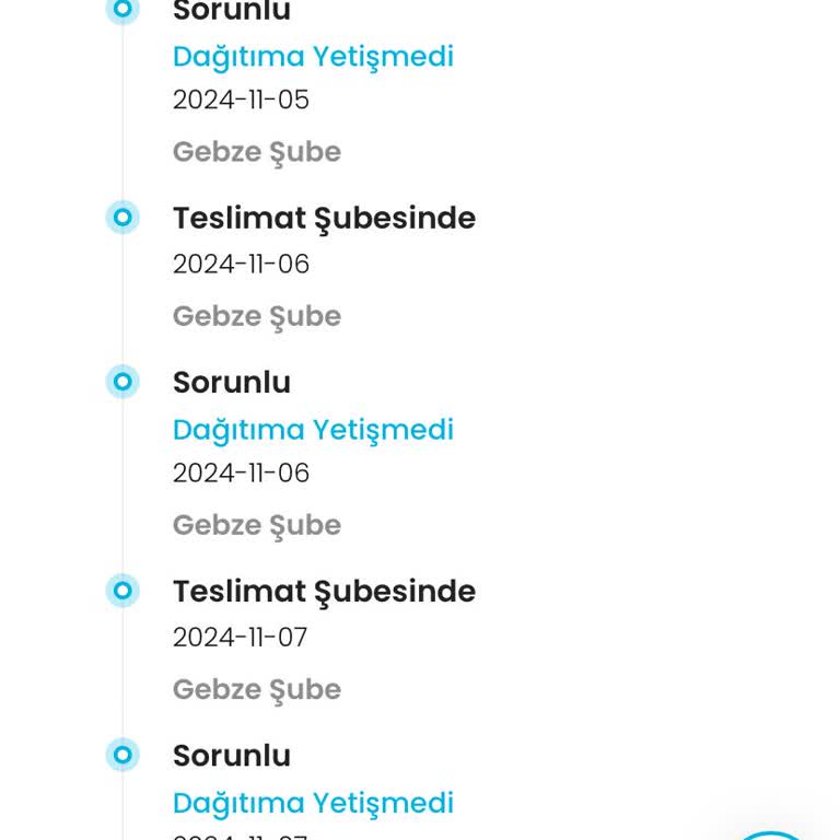 Kargo Teslimatında Sürekli Gecikme Sorunu