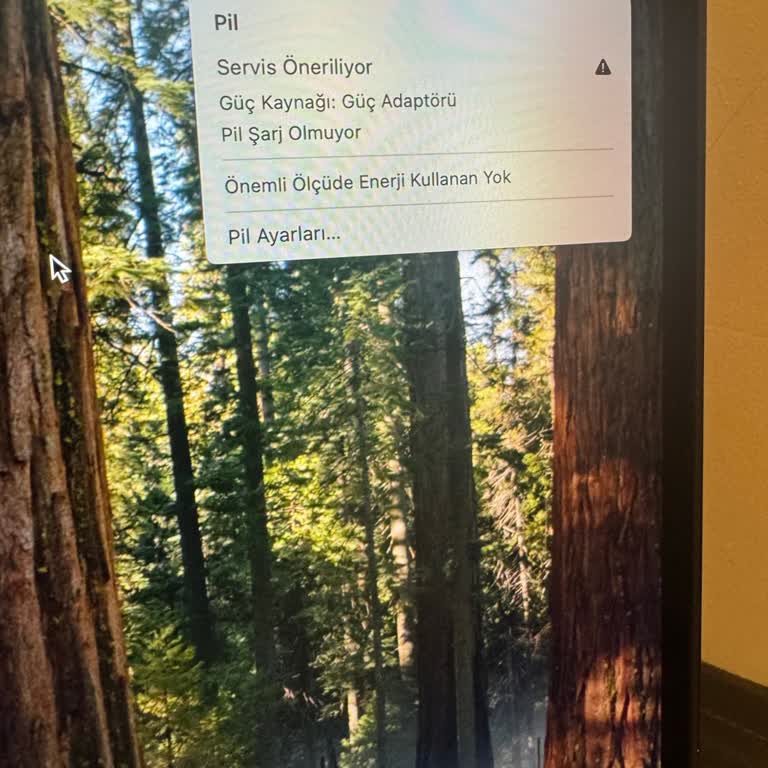 Trendyol'dan Alınan Macbook Air'in Pil Sorunu Ve Müşteri Hizmetleri Hayal Kırıklığı